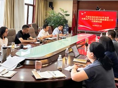 天津咨詢召開(kāi)全面從嚴(yán)治黨及黨風(fēng)廉政建設(shè)工作年中推動(dòng)會(huì)